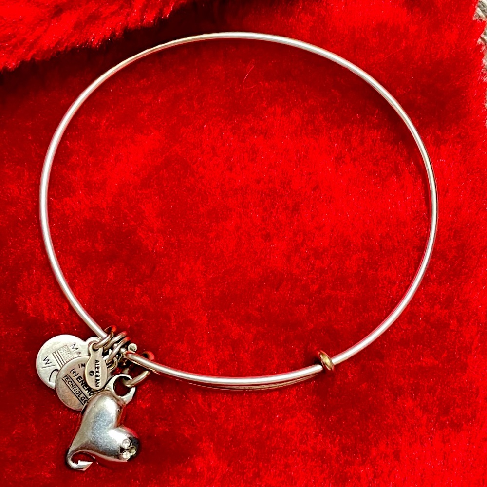 Alex & Ani bracelet